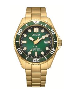 Citizen Promaster Eco-Drive Diver - edestä