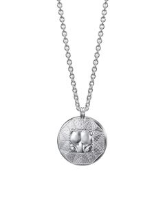 Kalevala-amuletti-riipus-iso-pojankarhu-hopea