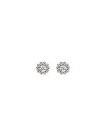 Lumoava Daisy hopeiset korvakorut kirkas zk L54228130000