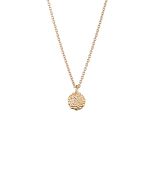 Lumoava Hilla riipus 14K