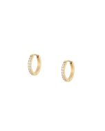 Mockberg Shiny Gold Hoops korvakorut MO586