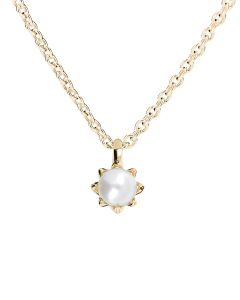 Kohinoor Rosa helmiriipus 123-260-5