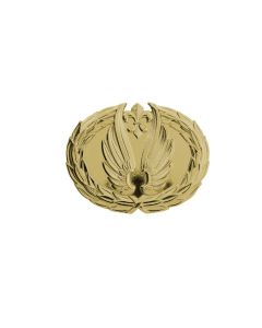 Tohtorinmiekka Åbo Akademi- embleemillä