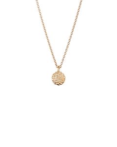 Lumoava Hilla riipus 14K